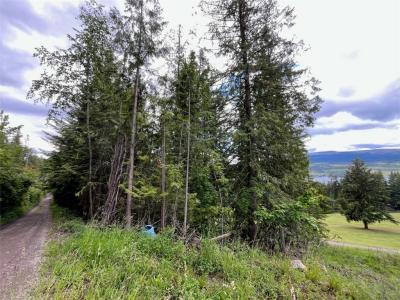 LOT 138 COLUMBIA DRIVE, Anglemont, 不列颠哥伦比亚省 V0E 1M8, 加拿大