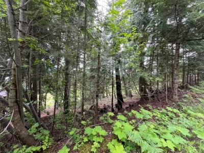 LOT 138 COLUMBIA DRIVE, Anglemont, 不列颠哥伦比亚省 V0E 1M8, 加拿大