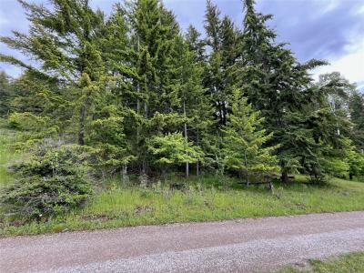 LOT 138 COLUMBIA DRIVE, Anglemont, 不列颠哥伦比亚省 V0E 1M8, 加拿大