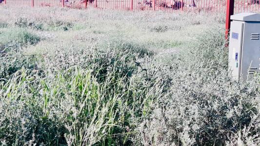 Bloemfontein, Free State, 南非