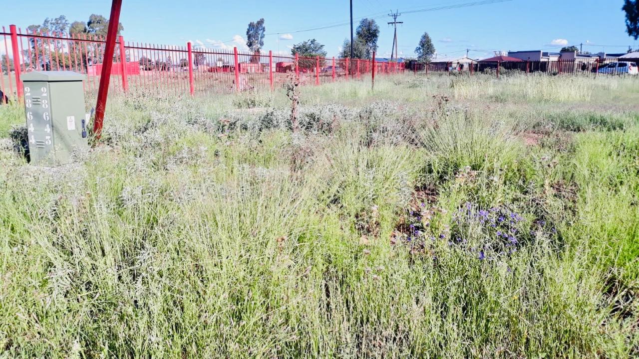 Bloemfontein, Free State, 南非