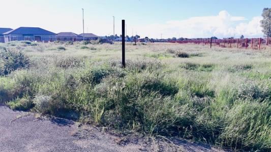 Bloemfontein, Free State, 南非