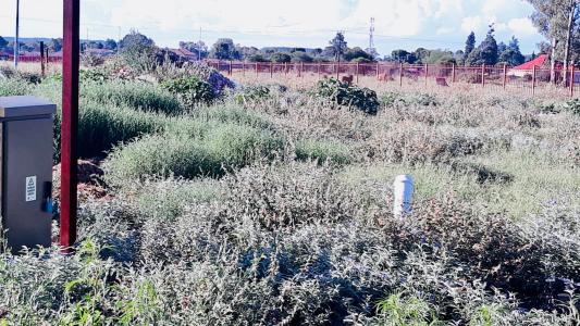Bloemfontein, Free State, 南非