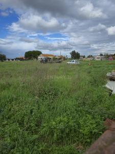 Salvaterra De Magos, 산타렘 2120-066, 포르투갈