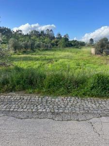 Ansião, Leiria 3240-492, Bồ Đào Nha