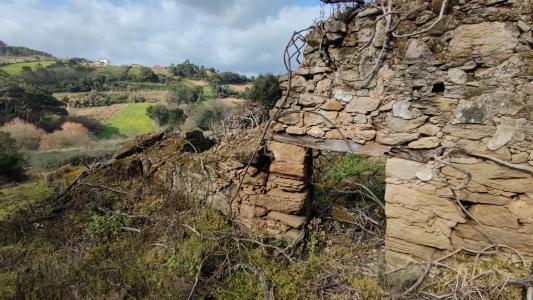 Caldas da Rainha, Leiria 2500, Portugal