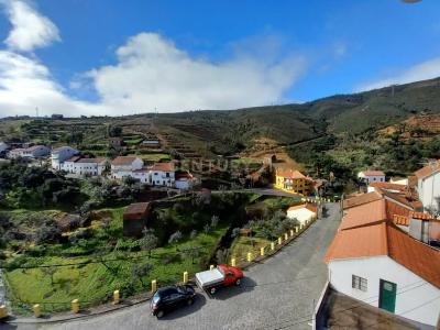 Proença A Nova, Castelo Branco 6150-719, Portugal