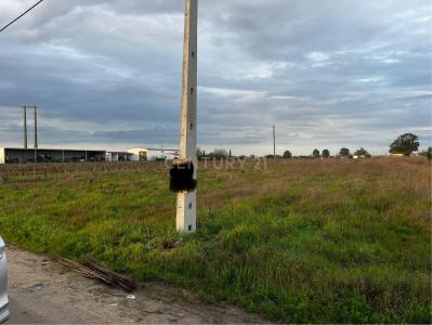 Almeirim, 산타렘 2080-304, 포르투갈