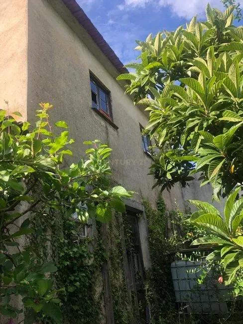 Figueiró Dos Vinhos, לייריה 3260-023, פורטוגל 