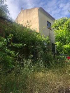 Figueiró Dos Vinhos, לייריה 3260-023, פורטוגל 