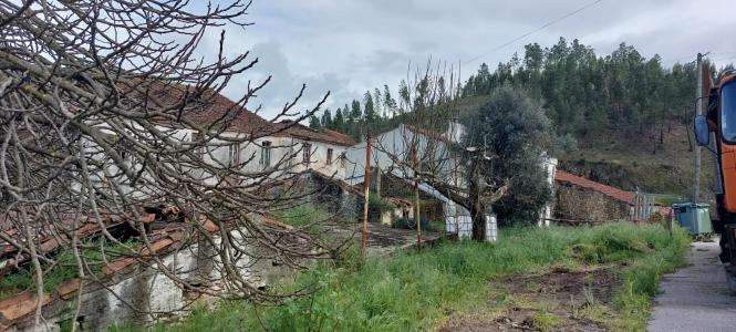 Mação, Santarem 6120, Portugal