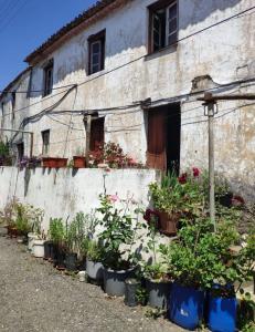 Mação, Santarem 6120, Portugal
