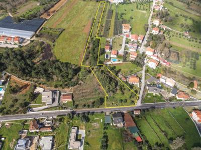 Lousã, Coimbra 3200-001, Bồ Đào Nha