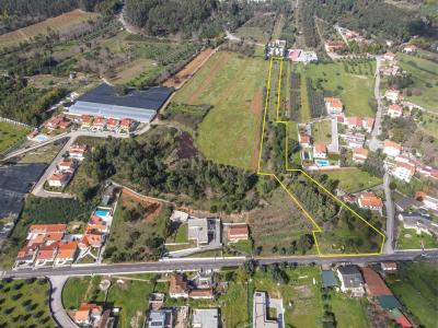 Lousã, Coimbra 3200-001, Bồ Đào Nha