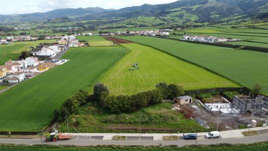 Ribeira Grande, São Miguel 9600-411, Portugal