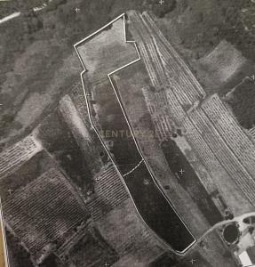 Oliveira Do Bairro, آويرو 3770-033, البرتغال