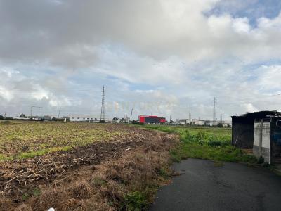 Aveiro, Aveiro 3800-001, Portugal