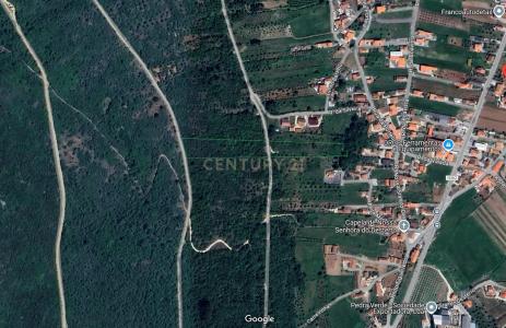 Porto De Mós, Leiria 2480-169, Portugal