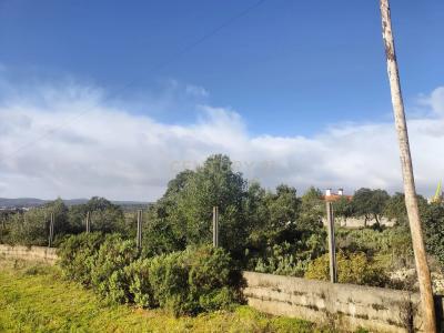 Ourém, Santarem 2495-654., Portugal