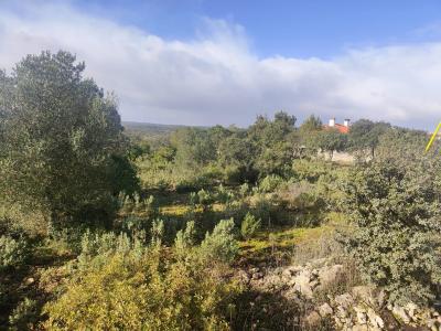 Ourém, Santarem 2495-654., Portugal