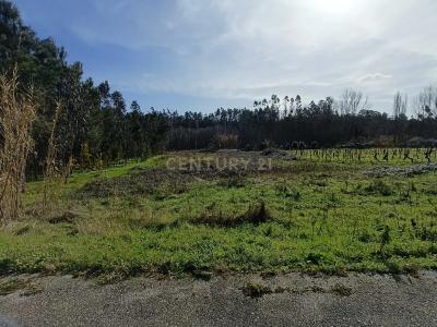 Anadia, Aveiro 3800-001, Portugal