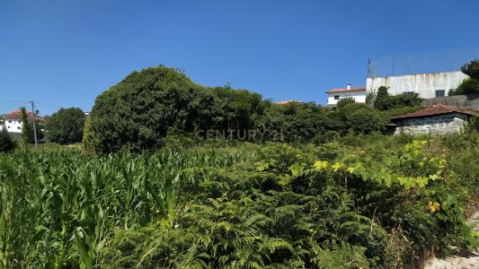 Amarante, Porto 4615-203, Portugal