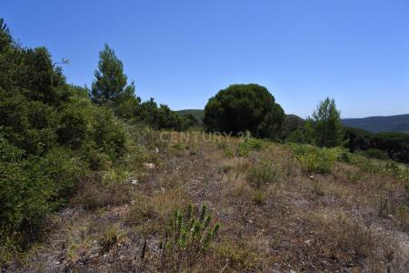 Vila Franca De Xira, Lisbon 2615-631, Portugal