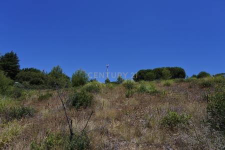 Vila Franca De Xira, Lisbon 2615-631, Portugal