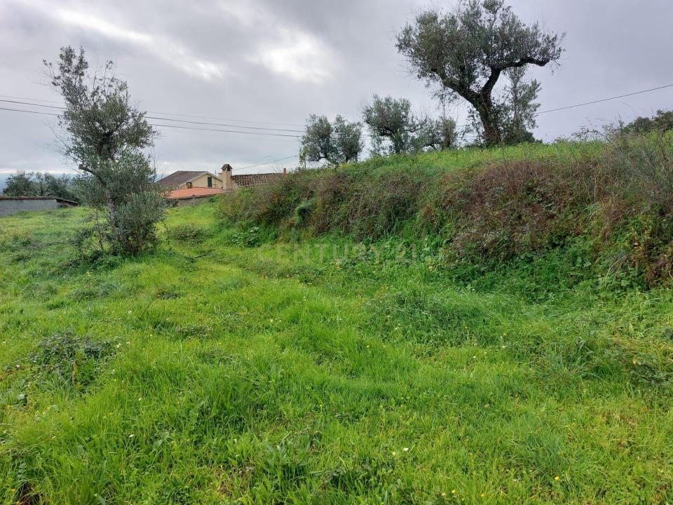 Fundão, Castelo Branco 6230-788, Portugal