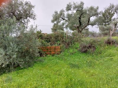 Fundão, Castelo Branco 6230-788, Portugal