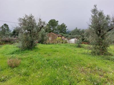 Fundão, Castelo Branco 6230-788, Portugal