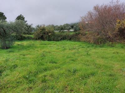 Fundão, Castelo Branco 6230-788, Portugal