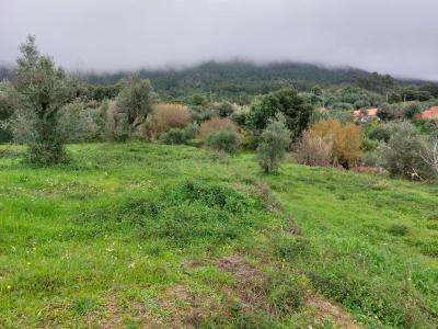 Fundão, Castelo Branco 6230-788, Portugal