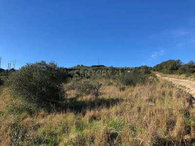 Loures, 리스보아 2670, 포르투갈