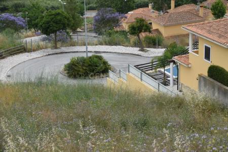 Vila Franca de Xira, Lisbon 2600-011, Portugal