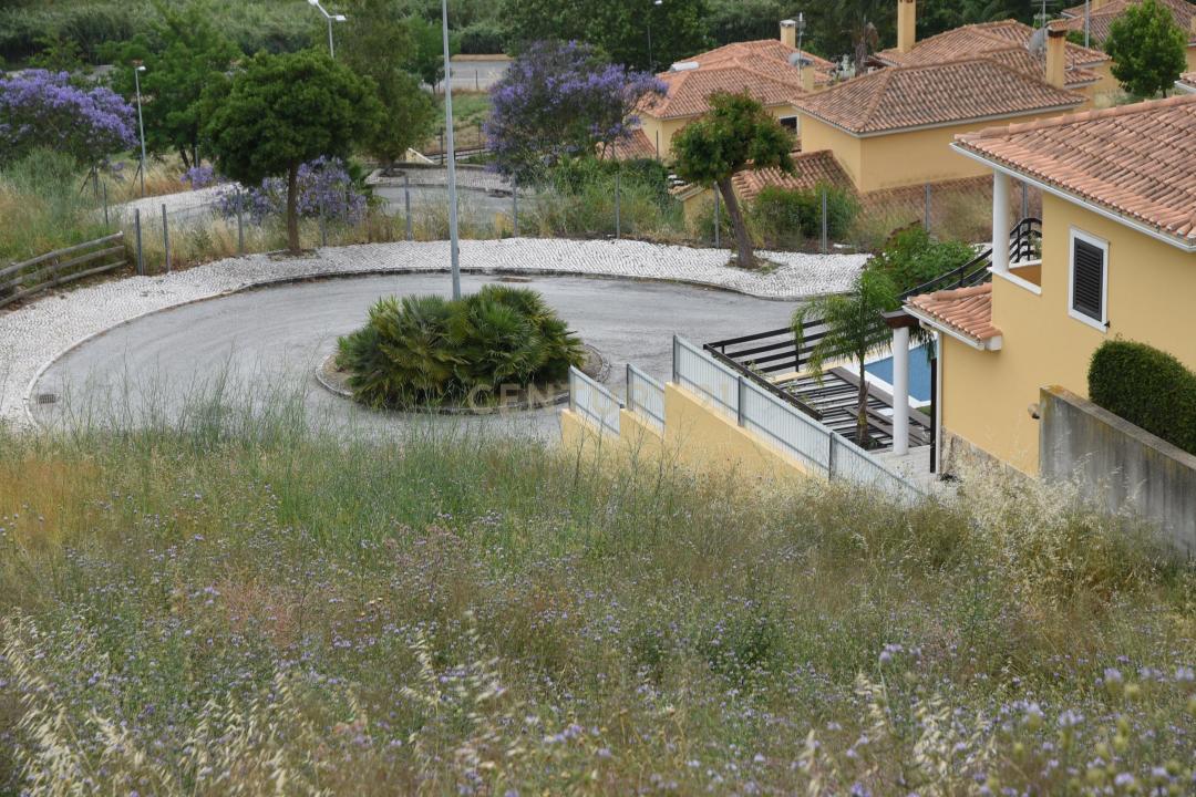Vila Franca De Xira, Lisboa 2600-011, Portugal