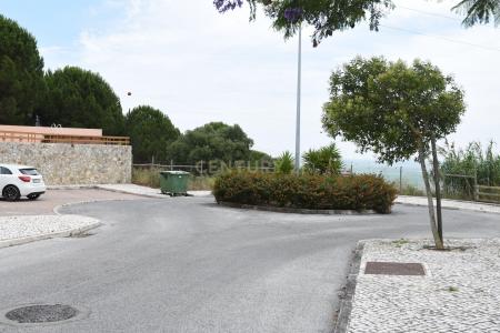 Vila Franca De Xira, Lisboa 2600-011, Portugal