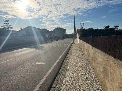 Ílhavo, Aveiro 3830-554, Portugal
