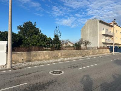 Ílhavo, Aveiro 3830-554, Portugal