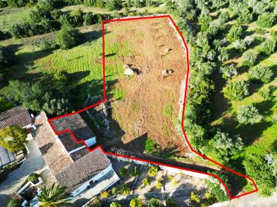 Faro, Faro 8005-488, Portugal