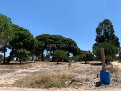 Palmela, Setubal 2955-014, Portugal