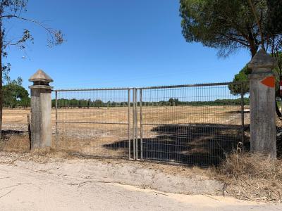 Palmela, Setubal 2955-014, Portugal