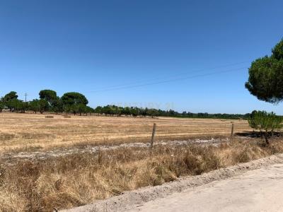 Palmela, Setubal 2955-014, Portugal