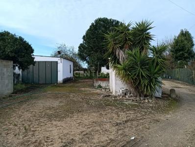 Salvaterra de Magos, Santarém 2120-031, Portugal