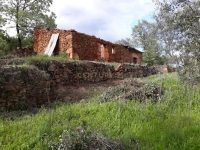 Fundão, Castelo Branco 6230-521, Portugal