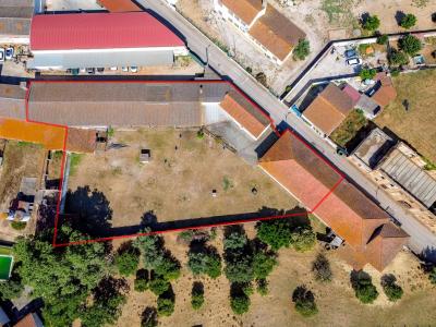 Golegã, Santarem 2150-080, Portugal