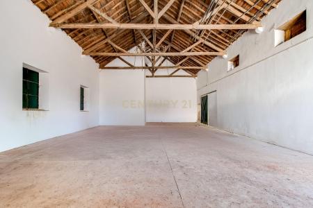 Golegã, Santarem 2150-080, Portugal