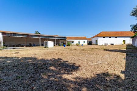 Golegã, Santarem 2150-080, Portugal