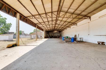 Golegã, Santarém 2150-080, Portugal