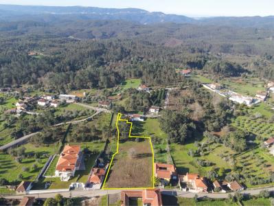 Vila Nova De Poiares, Coimbra 3351-000 -, Portugal